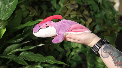 Pasha the Parasaurolophus
